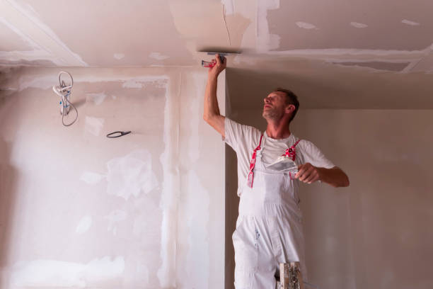 Reliable Pasadena, TX Dry wall and painting Solutions